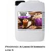 Essenza per bagno turco e doccia emozionale - Fragranza limoni di Sorrento 5 L