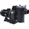 Pompa HCP 3800 Monofase con Prefiltro da 2,5 a 3 HP