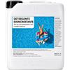 Detergente Disincrostante per Celle Centraline a Sale e Sonde Cloro pH (2 Pezzi)
