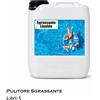 Pulitore sgrassante - Detergente liquido per piscine 5 L