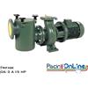POMPA CENTRIFUGA PER PISCINE PUBBLICHE IN GHISA CON PREFILTRO - MOTORE TRIFASE A 2 POLI - 2.800 GPM - DA 3 A 15 HP