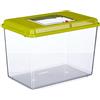 Ferplast Acquario in plastica per pesci GEO MAXI Vasca 21 L Contenitore per piccoli animali acquario terrario insetti tartarughe, Griglie di ventilazione, 41,3 x 26 x h 29,8 cm Verde