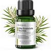 AMYRON Olio Essenziale Tea Tree 15ml - 100% Puro e Naturale - Ideale per Diffusori e Aromaterapia - Aroma Fresco e Intenso - Melaleuca Alternifolia - AMYRON