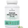 Bandini® Fucus Kelp Algae 150mcg, 365 Compresse per una Scorta Annuale, | Fonte naturale di Iodio da Alghe Brune, Metabolismo Energetico, Unghie, Capelli, Senza Additivi, Senza OGM, Qualità Italiana