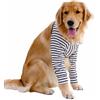 BT Bear Protezione per gomito del cane, per calli, per il recupero dell'articolazione del cane, per prevenire ferite da leccare, con cuscinetto in rete, per cani di taglia media e grande (XXXL, a