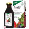 SALUS HAUS GMBH & CO KG FLORADIX FERRO E VITAMINE 250 ML