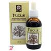 ECOL SAS FUCUS ESTRATTO ANALCOLICO 50 ML ARTICOLO 796