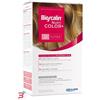 GIULIANI SPA BIOSCALIN NUTRICOLOR PLUS 8 BIONDO CHIARO CREMA COLORANTE 40 ML + RIVELATORE CREMA 60 ML + SHAMPOO 12 ML + TRATTAMENTO FINALE BALSAMO 12 ML