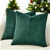 Topfinel Federe Cuscini 45x45 in Velluto a Coste per Divano Verde Scuro Copricuscini Quadrati Elegante Decorativa per Salotto Moderno Cuscino Cerniera Invisibile per Camera da Letto Set 2 Pezzi