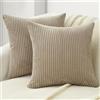 Topfinel Federe Cuscini Divano 35x35cm Taupe in Velluto a Coste Copricuscini con Cerniera Invisibile Motivo A righe per Soggiorno Camera Balcone Esterno 2 Pezzi