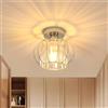 Goeco Plafoniera Cromo, Portalampada E27 Lampada da Soffitto Vintage Industriale con Paralume in Vetro, Lampadario Metallo per Ingresso, Corridoio, Camera da Letto, Soggiorno, Ø 19 cm