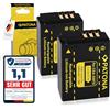 PATONA 2X Batteria per Panasonic CGA-S007 S007E DMW-BCD10 1000mAh 3.7V
