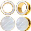 DOEARKO Dilatatore Orecchio Flesh Tunnel in Acciaio Inossidabile Double Flared Tunnel Ear Tunnel Expanders Stretchers Piercing Barretta Tunnel per Uomini e Donne,6mm a 25 mm (Oro, 12mm)