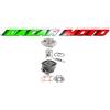 OLYMPIA CILINDRO GRUPPO TERMICO COMPLETO DIAMETRO 48 PIAGGIO NRG MC2/MC3 DD 50 2T LC