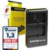 PATONA Caricabatterie Doppio USB - per Sony NP-FH30 FH40 FH50 FH60 FH70 FH100 e NP-FP30 FP50 FP60 FP70 FP90 - carica 2 batterie insieme - per Alpha A230 A290 A330 A380 e Handycam DCR HDR