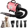 Memows Soffiatore per Cani Asciugacapelli per Cani 2800W Phon per Cani Silenzioso Asciugatore per Cani Asciuga Cane Velocità e Temperatura Regolabili Asciugatrice per Cani Professionale con 4 Ugelli