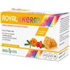 ERBA VITA GROUP SpA Royal Energy Integratore Energetico 10 Flaconcini