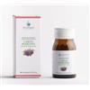 Arcangea srl Arcangea Cardo Mariano 60 Compresse da 500 mg
