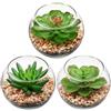 Briful Mini Fake Plants 3 Packs Artificial Succulents Plants in Round Glass Vase Cute Faux Succulents for Bathroom Kitchens Shelf Table Decor