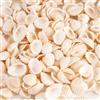 Dhisperares 250Pcs Conchiglie Decorative, 2-3,5 cm Mestieri di Decorazione di Conchiglie, Conchiglia Naturali di Piccole Dimensioni da Spiaggia, Conchiglia Marine Bianche per Artigianato Vasi Riempitivi (500g)