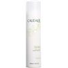 CAUDALIE ITALIA Srl Caudalie Eau De Raisin - Acqua d'uva rinfrescante e lenitiva - 300 ml