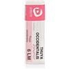Thuya Cemon Thuya Occidentalis 6Lm Globuli 2 g