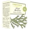 Erbamea Alga Bruna Integratore Metabolismo 50 Opercoli