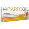 SHEDIR PHARMA Srl Unipersonale Carfogil 30 Compresse Vet