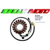 ELECTROSPORT STATORE PER SUZUKI BURGMAN 650 DAL 2002 AL 2012 MITSUBISHI ELECTRIC