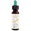 ALCHIMIA BENOIT Srl FIORI DI BACH BENOIT CLEMATIS 10 ML