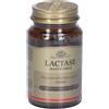 Solgar Lactase Tavolette Masticabili- Risparmia il 10% con codice: solgarx0926 1 pz