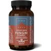 FORLIVE Srl Terranova Funghi Synergy 50 capsule - Integratore Alimentare a Base di Funghi Certificati Bio
