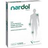 NALKEIN ITALIA Srl Nardol Patch 6 pezzi - cerotti naturali con Arnica, Artiglio del Diavolo, Salice e Boswellia