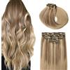 SURNEL Extension con clip in capelli umani da 40,6 cm, 6 pezzi, 100 g, doppia trama, con balayage ombré colore 10 marrone dorato con evidenziazione sfumata a 16 biondo dorato (C #10/40/40,5 cm)