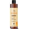 Specchiasol Tricomnia - Shampoo Capelli Grassi, 250ml