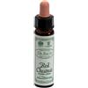SANTIVERI Sa AINSWORTHS RED CHESTNUT 10ML