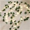 QEEROYO Stringa Luminosa con Foglie, Catena Luminosa Esterno, 2m 20 LED Edera Finta Catena Luci Interno, per Giardini, Pareti e Matrimoni
