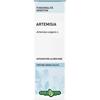 ERBA VITA ESTRATTI LIQUIDI Artemisia V Soluzione Idroalcolica 50 Ml
