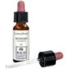 ERBA VITA ESSENZA FLOREALE Mustard Original Gocce 10 Ml