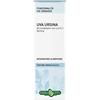 ERBA VITA GROUP SPA Erba Vita Uva Ursina Foglie Soluzione Idroalcolica 50 Ml