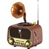 PRUNUS J-190 Radio Portatile Vintage FM/AM/SW, Radiolina Portatile con Batteria Ricaricabile da 1800 mAh, Altoparlante Bluetooth 6.0 con Design Retro Unico, Supporta TF/USB/AUX.