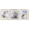 DKD Home Decor Telaio, Standard