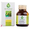 ERBEX SRL ESCOLZIA 100 CAPSULE 380MG