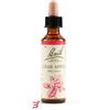 SCHWABE PHARMA ITALIA SRL CRAB APPLE BACH ORIG 20 ML