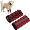 CAPASTEC 1 Paio Tutore Zampa Anteriore Cane Rosso Supporto Articolazioni | Materiale SBR Altezza 16.5cm Larghezza 22cm Taglia L Benda Riflettente Protezione Operazioni Antishock Impermeabile Leggero