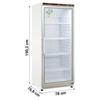 Armadio Frigo Professionale Positivo 600, +3°C/+10°C, con Interno in ABS Termoformato e Porta Vetro - Classe B