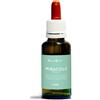 NATUR Srl Natur Mix Miracoli Fiducia Essenze Naturali 30ml