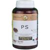 Golden Wave PS 90 MAXI CAPSULE