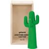 Guframini Cactus