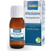 Harpagophytum BOIRON® Harpagophytum Articolazione 60 ml Soluzione orale